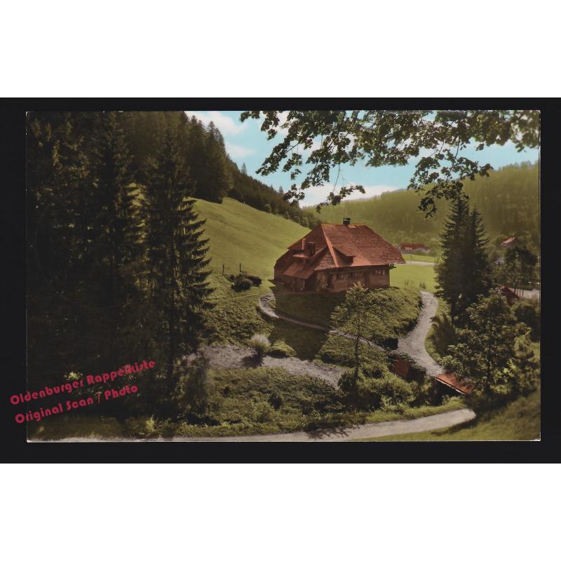 AK  Felsenhaus bei Todtmoos Hochschwarzwald coloriert gelaufen 1965