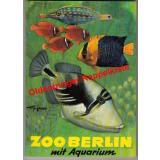 Zoo Berlin mit Aquarium  (1980)  - Klös/ Frädrich (Hrsg.)